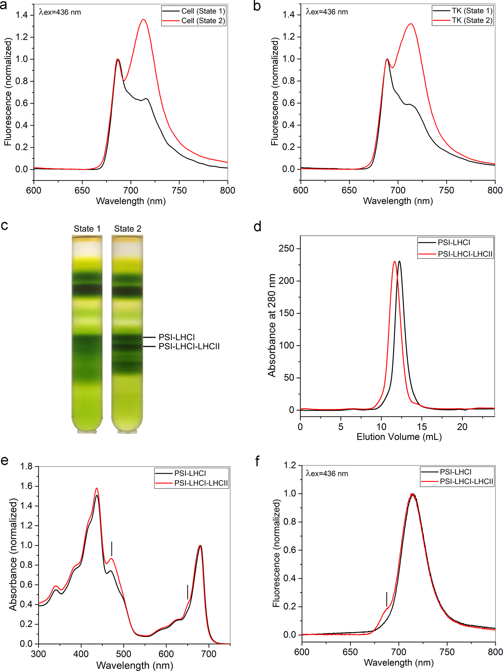 The Extended Light-Harvesting Complex (LHC) Protein Superfamily:  Classification and Evolutionary Dynamics