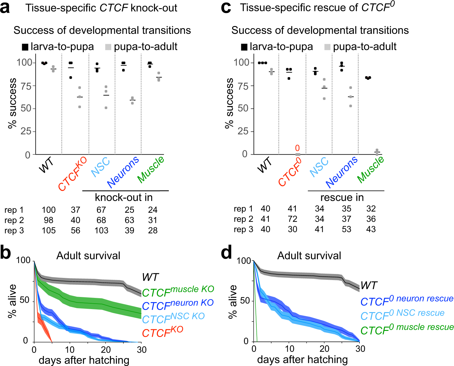 Distinct genomic routes underlie transitions to specialised