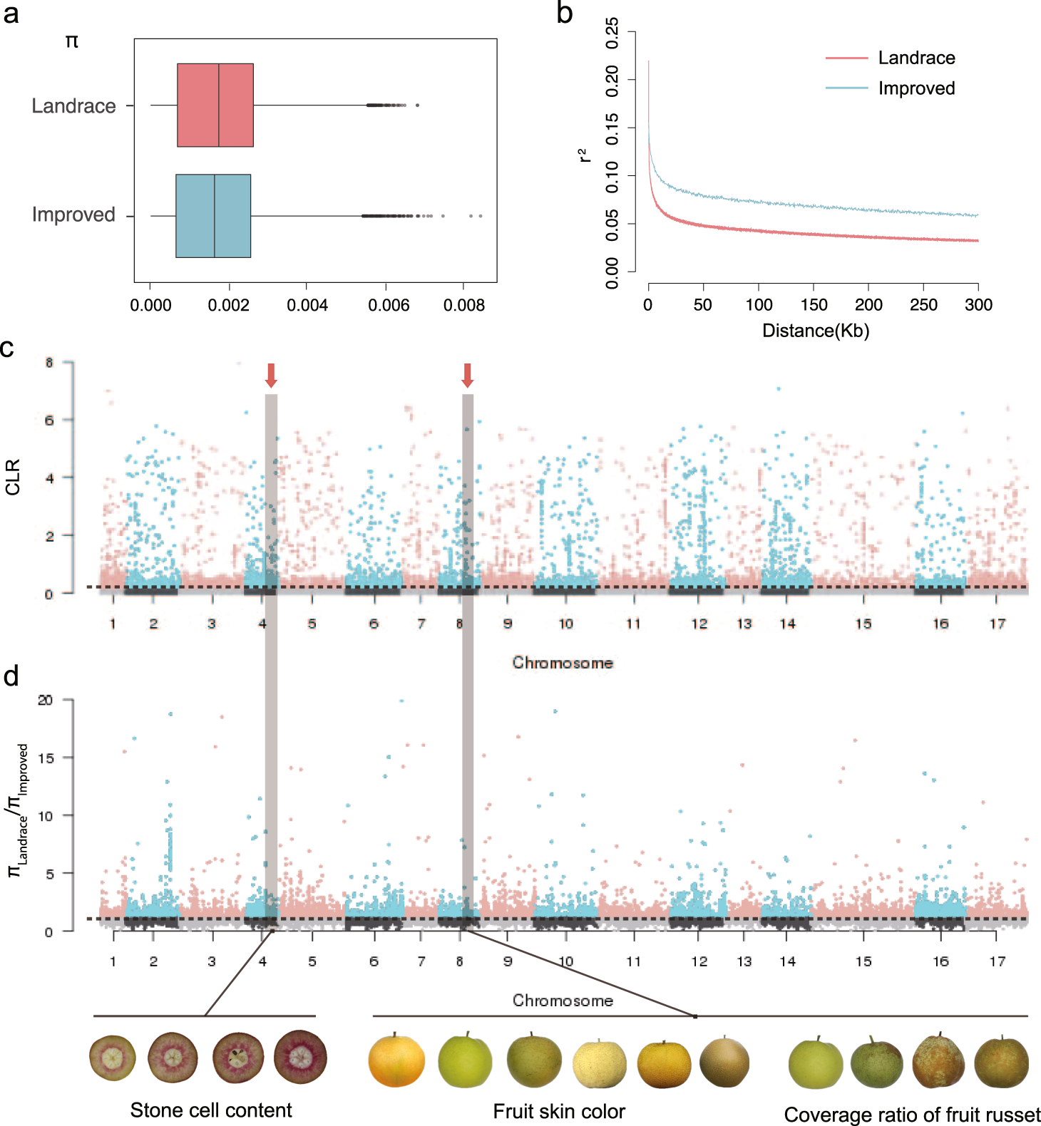 Fig. 2: Diversity and selective sweep of landrace and improved population.