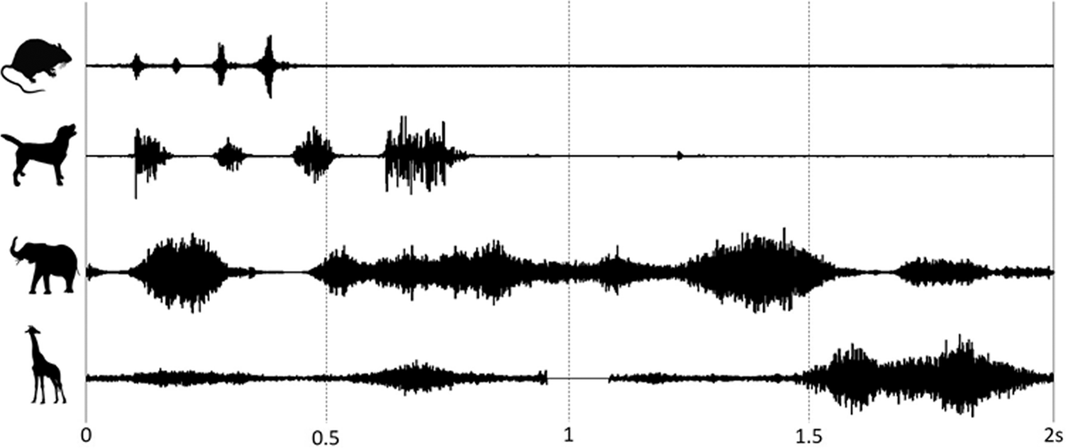 Fig. 1: Audio waveforms of sniff cycles for a rat, dog, elephant, and giraffe respectively.