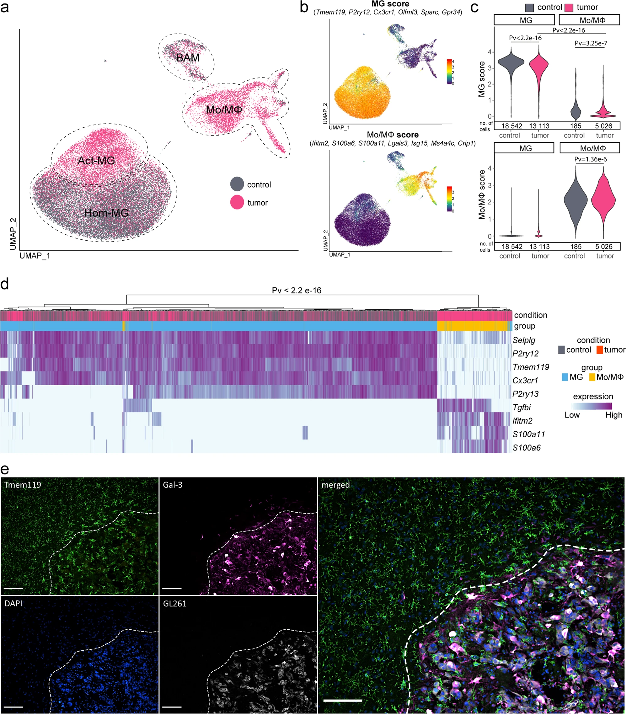 Figure from the Nature Communications paper