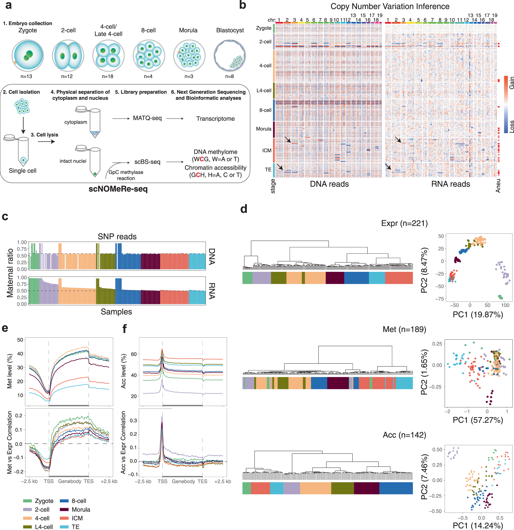 Single-nucleus RNA and ATAC sequencing reveals the impact of