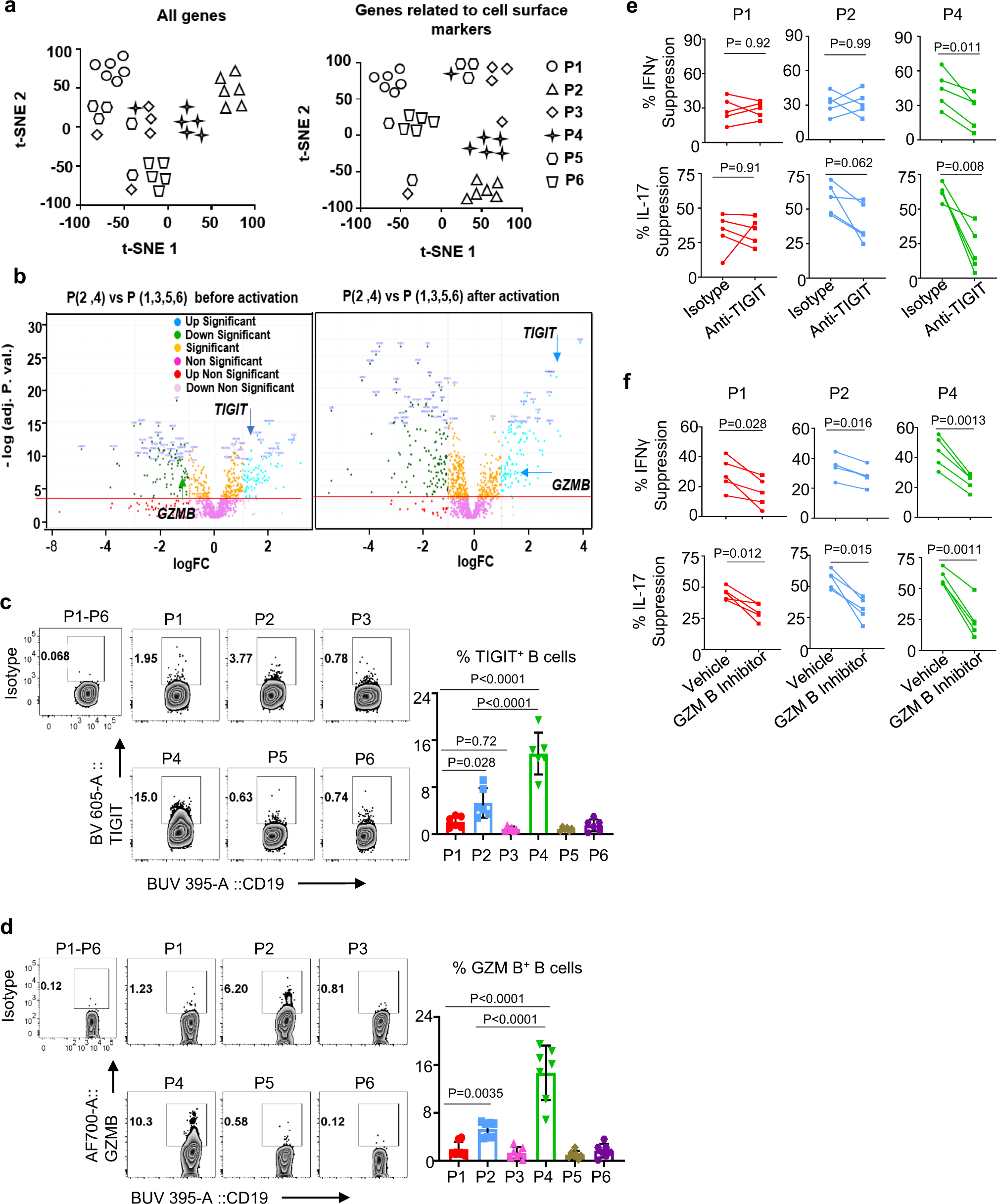Fig. 5: P4 memory B cells express functional TIGIT and granzyme B that can directly act on T cells.