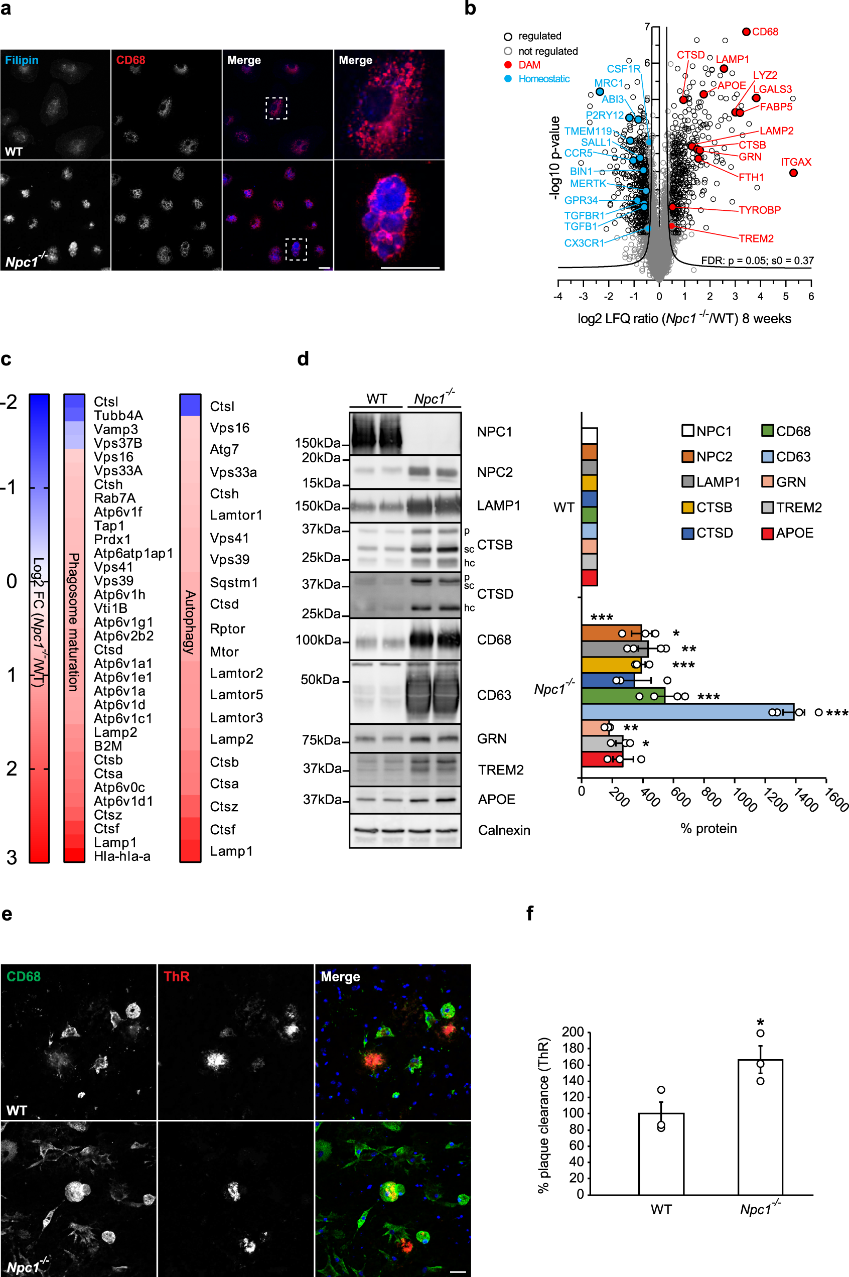 Lipid trafficking defects in Niemann-Pick type C disease