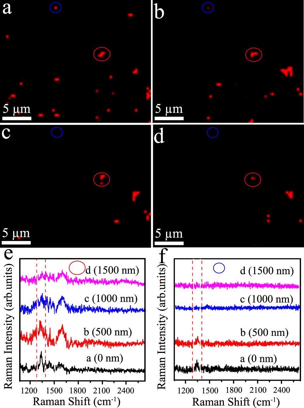 Fig. 3: Study of confocal height on Raman signal intensity.