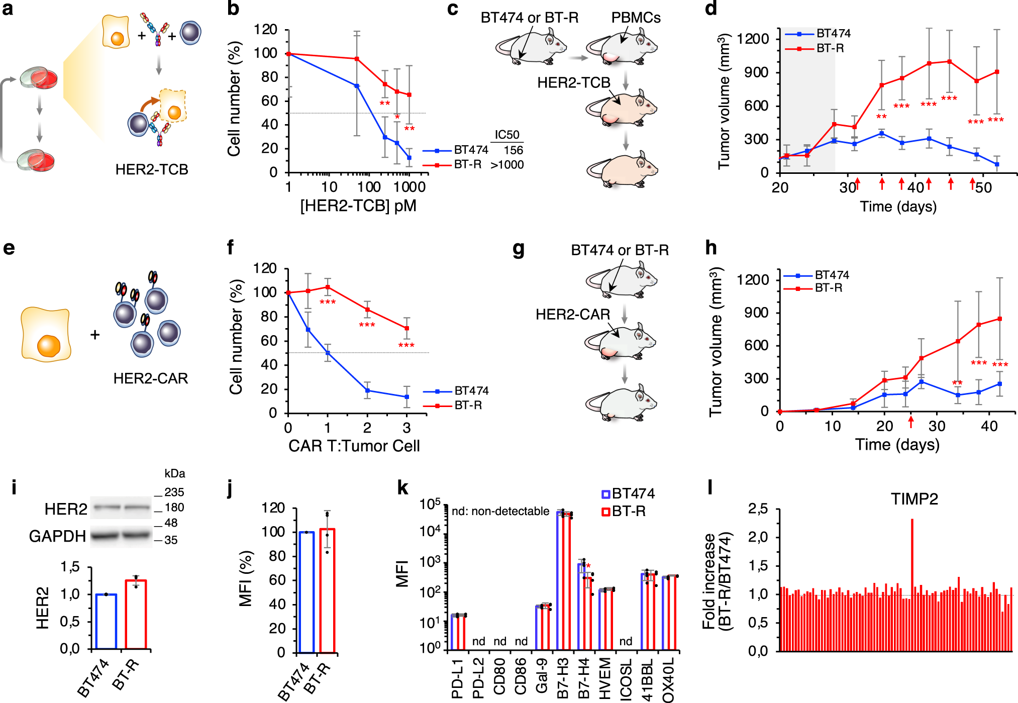 Fig. 1: Generation and characterization of resistant cells.