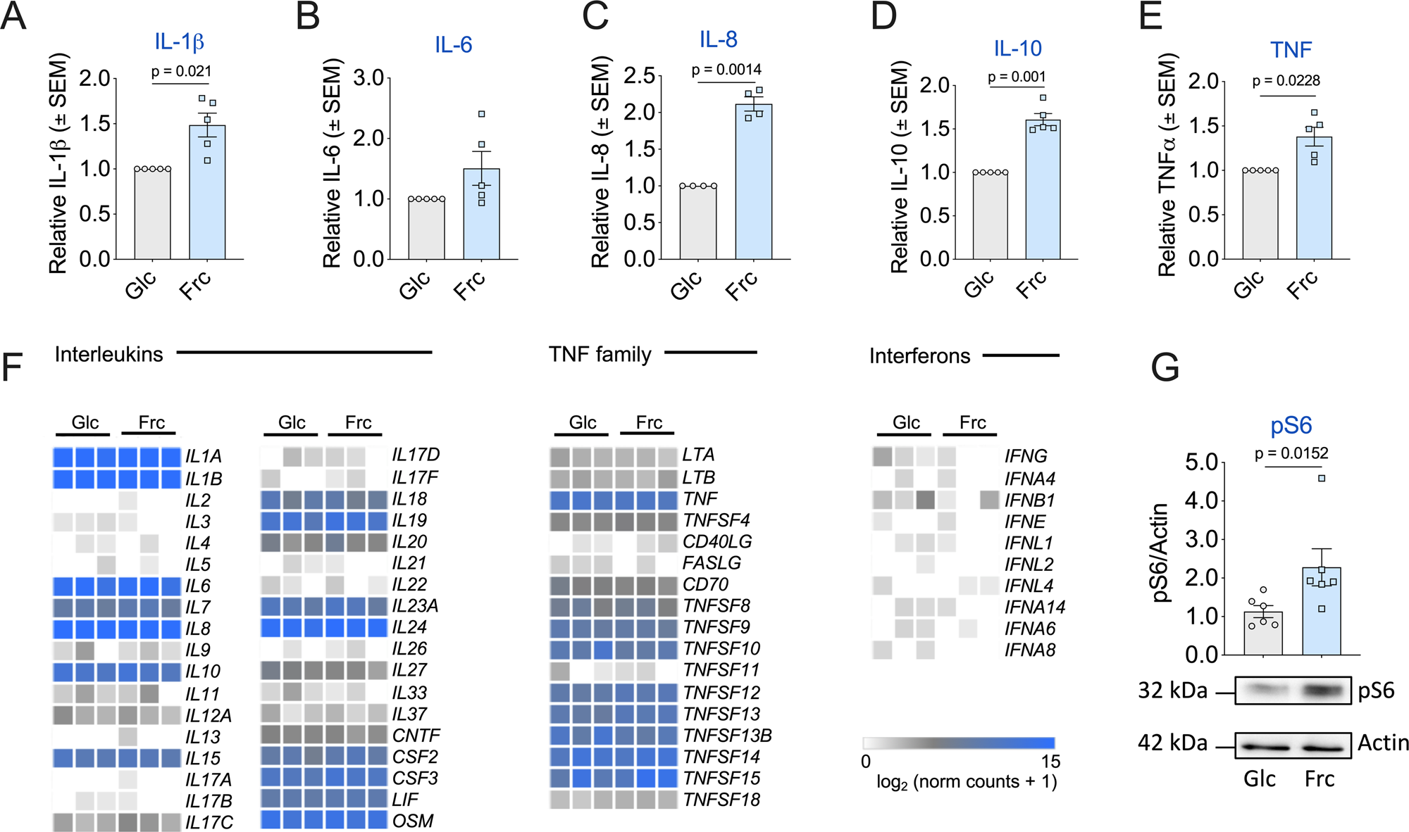 Fig. 3: Fructose promotes a more inflammatory phenotype.