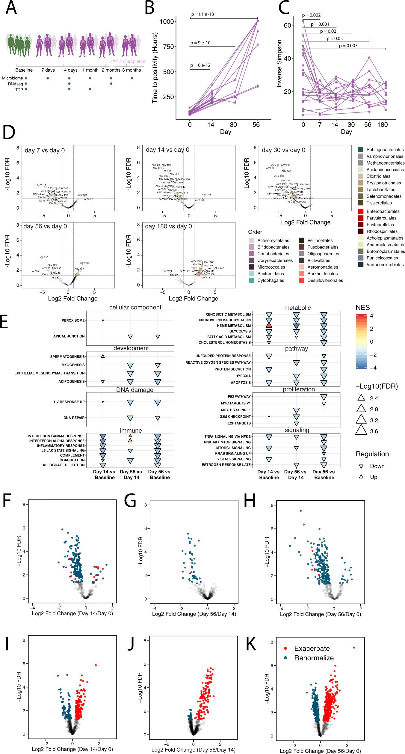 Fig. 5: Longitudinal profiling of HRZE treatment induced changes of microbiome composition and peripheral gene inflammatory expression.