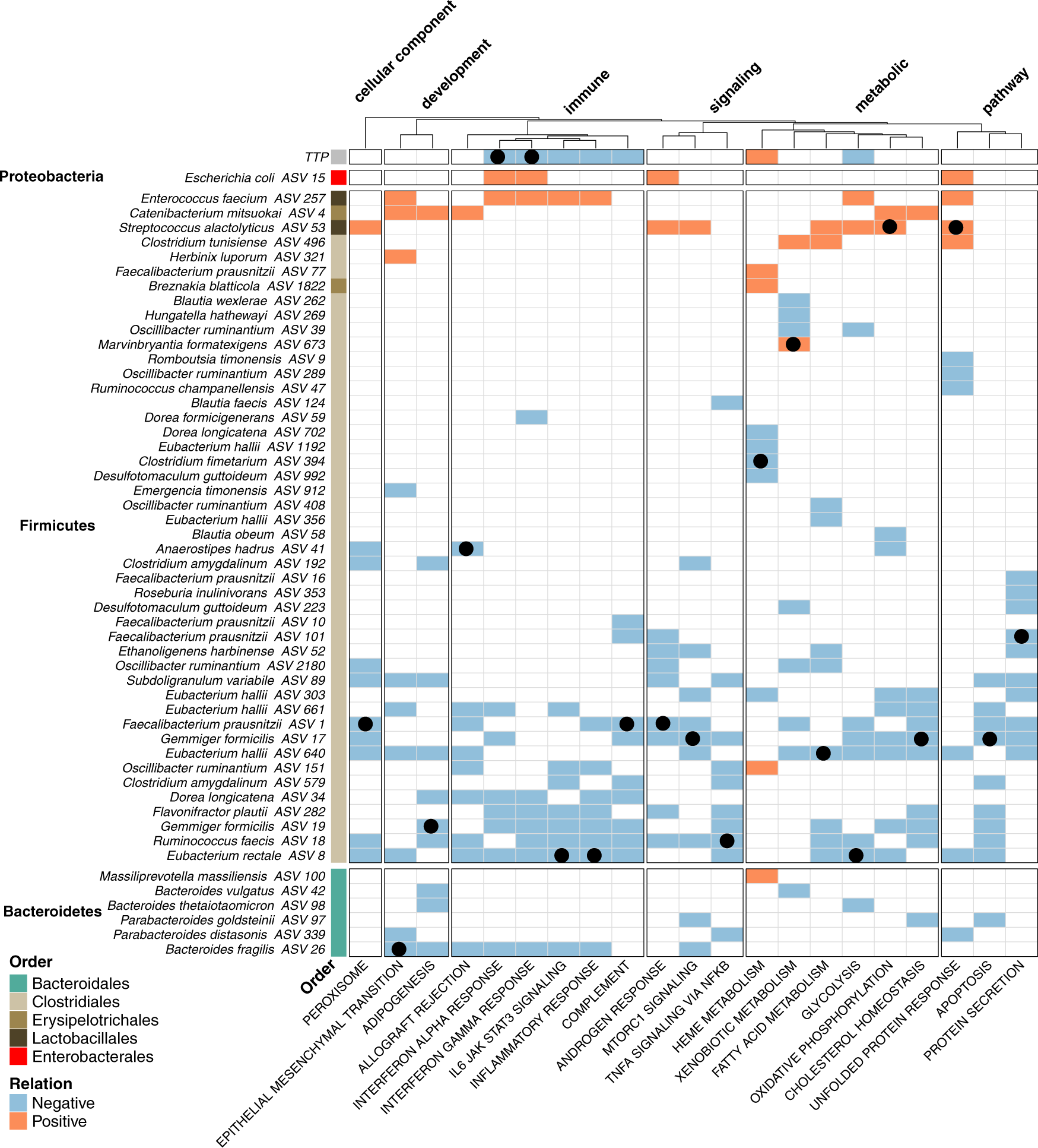 Fig. 6: Use of Random Forest Regression Modeling to search for associations between immune-related peripheral blood gene signatures and changes in gastrointestinal microbiota and TTP.