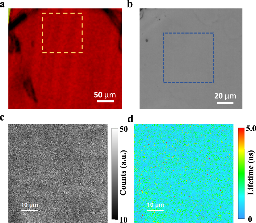 Fig. 4: PL intensity and recombination lifetime mapping for ferroelastic domains.