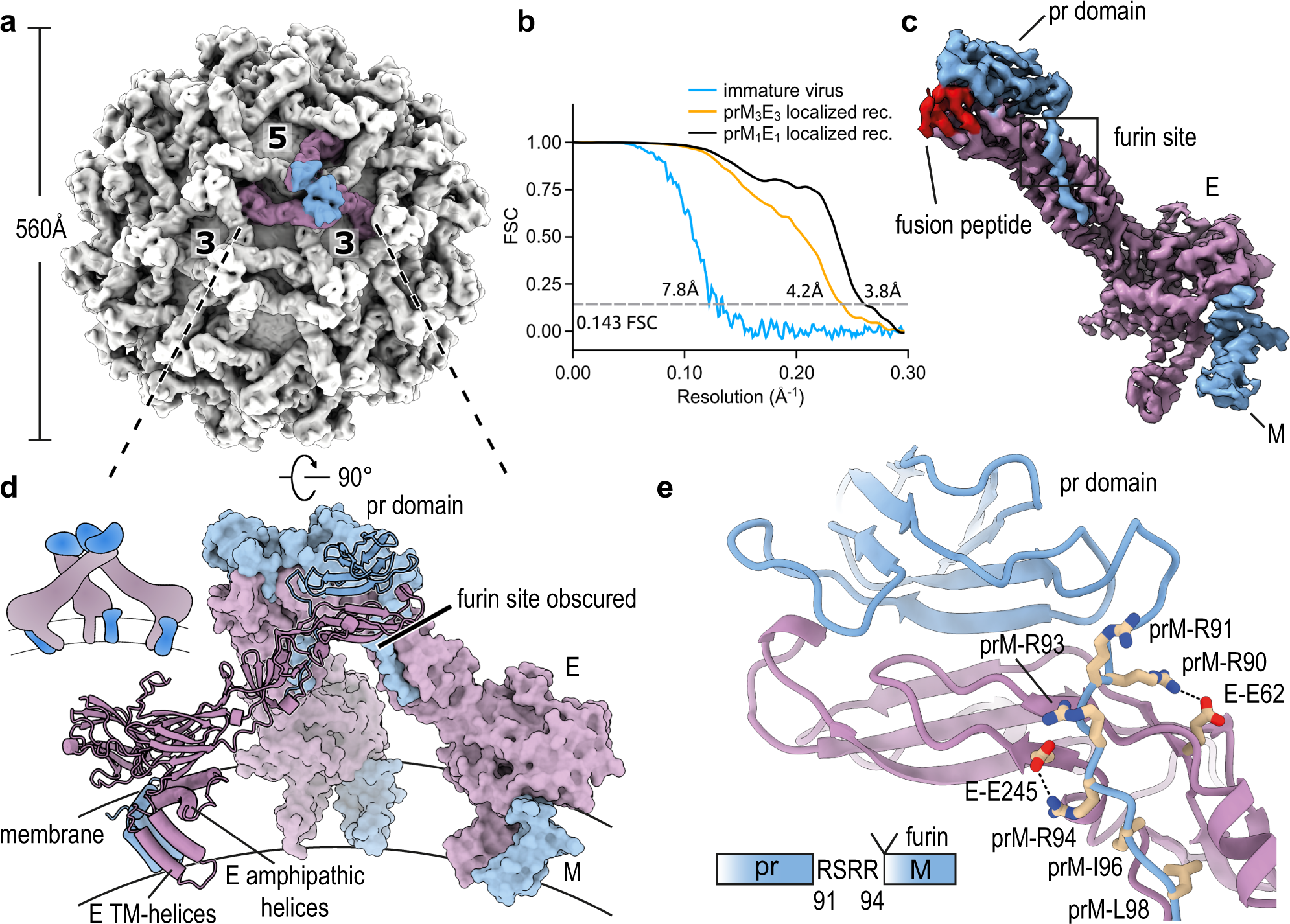 Flavivirus Maturation Leads To The Formation Of An Occupied Lipid Pocket In The Surface Glycoproteins Nature Communications