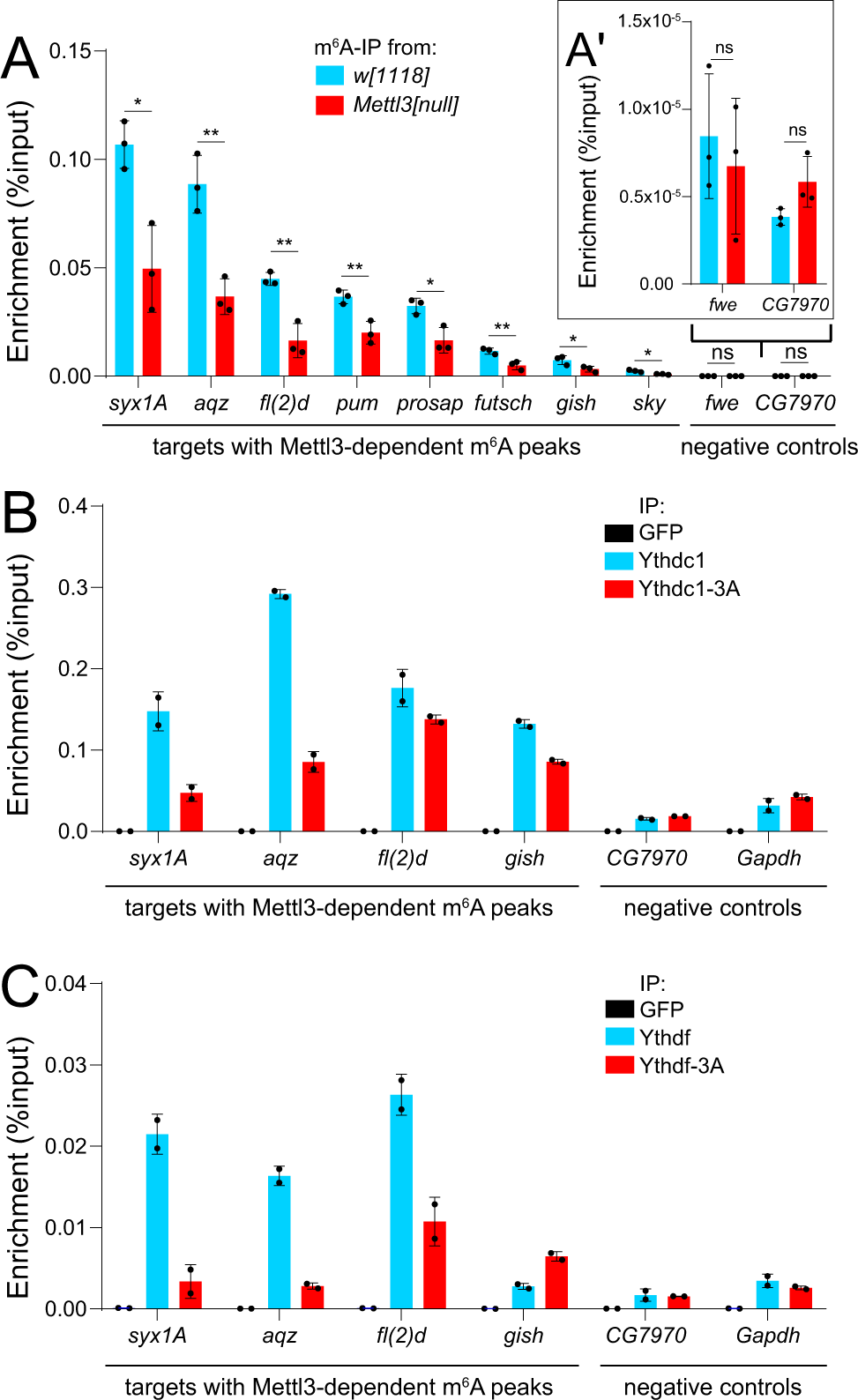 Fig. 5: Validation of Drosophila m6A targets and their association with readers.