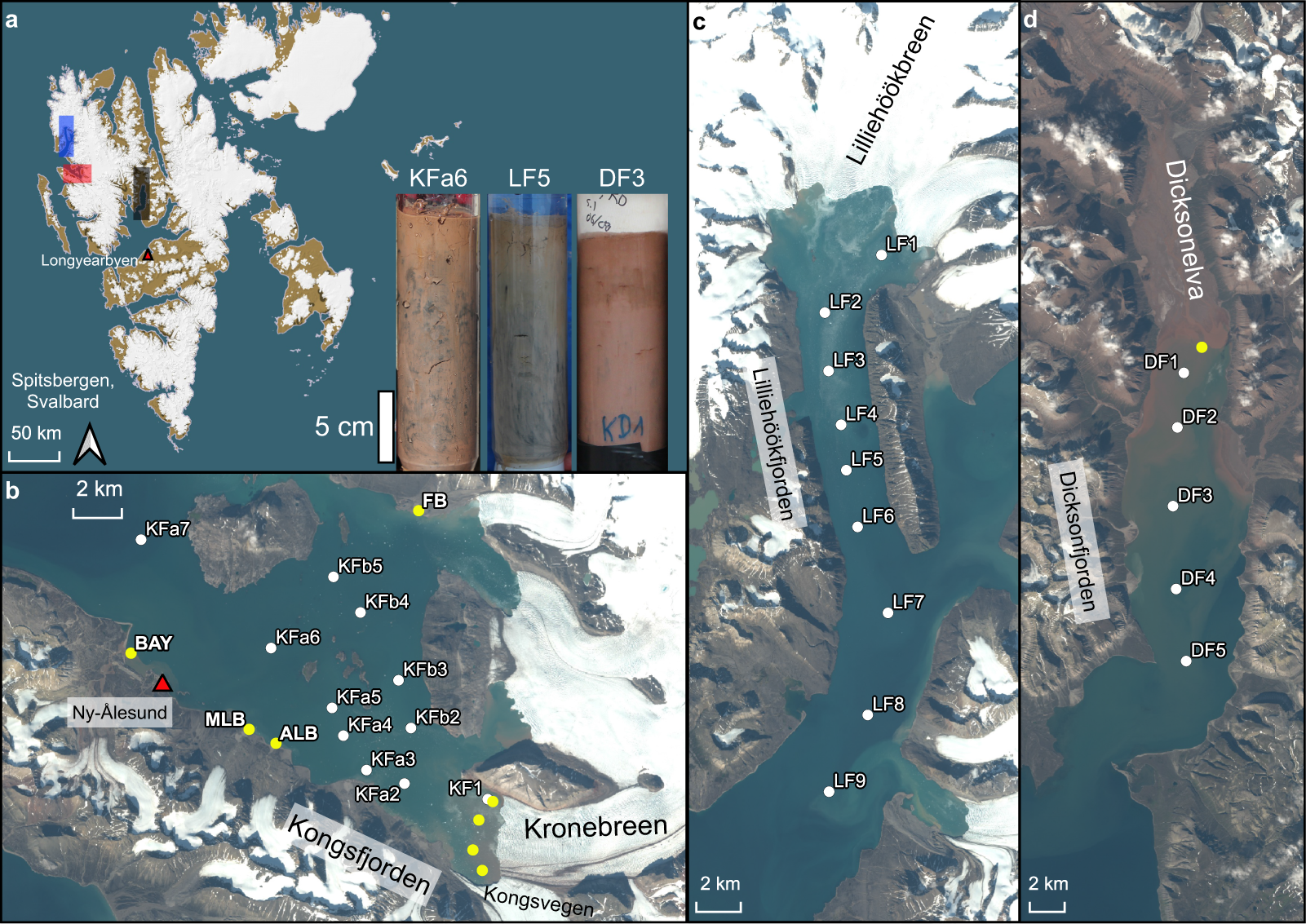 Potentially bioavailable iron produced through benthic cycling in glaciated  Arctic fjords of Svalbard | Nature Communications