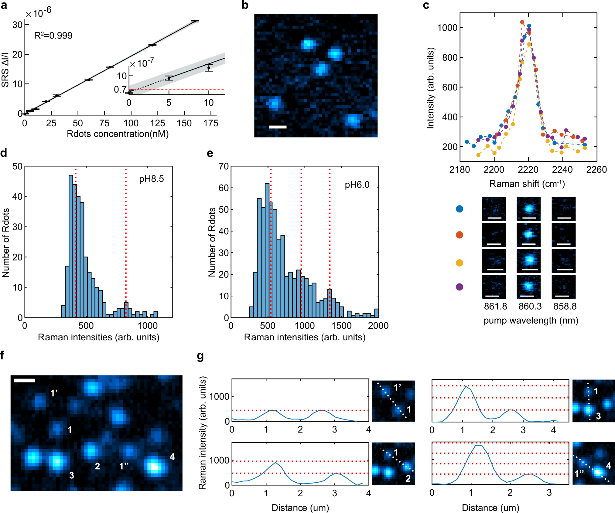 Fig. 3: Evidence for single-particle sensitivity of Rdots under SRS microscopy.