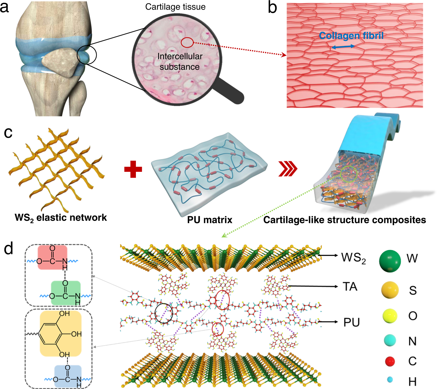 Ultrarobust Tough And Highly Stretchable Self Healing Materials Based On Cartilage Inspired Noncovalent Assembly Nanostructure Nature Communications