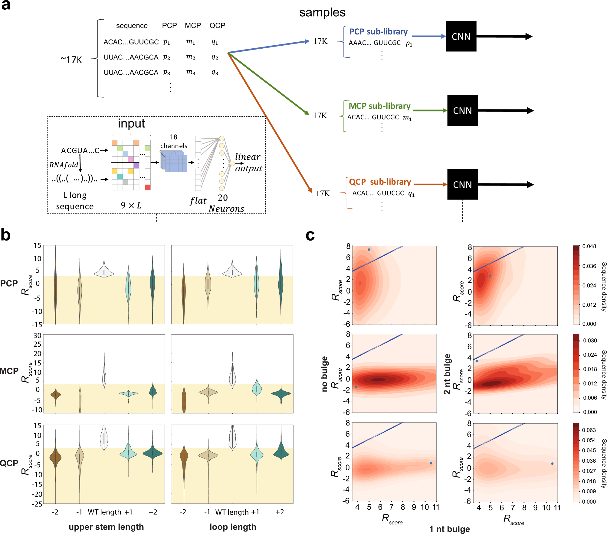Fig. 4: Analysis of MCP, PCP, and QCP RNA-binding structure preferences.