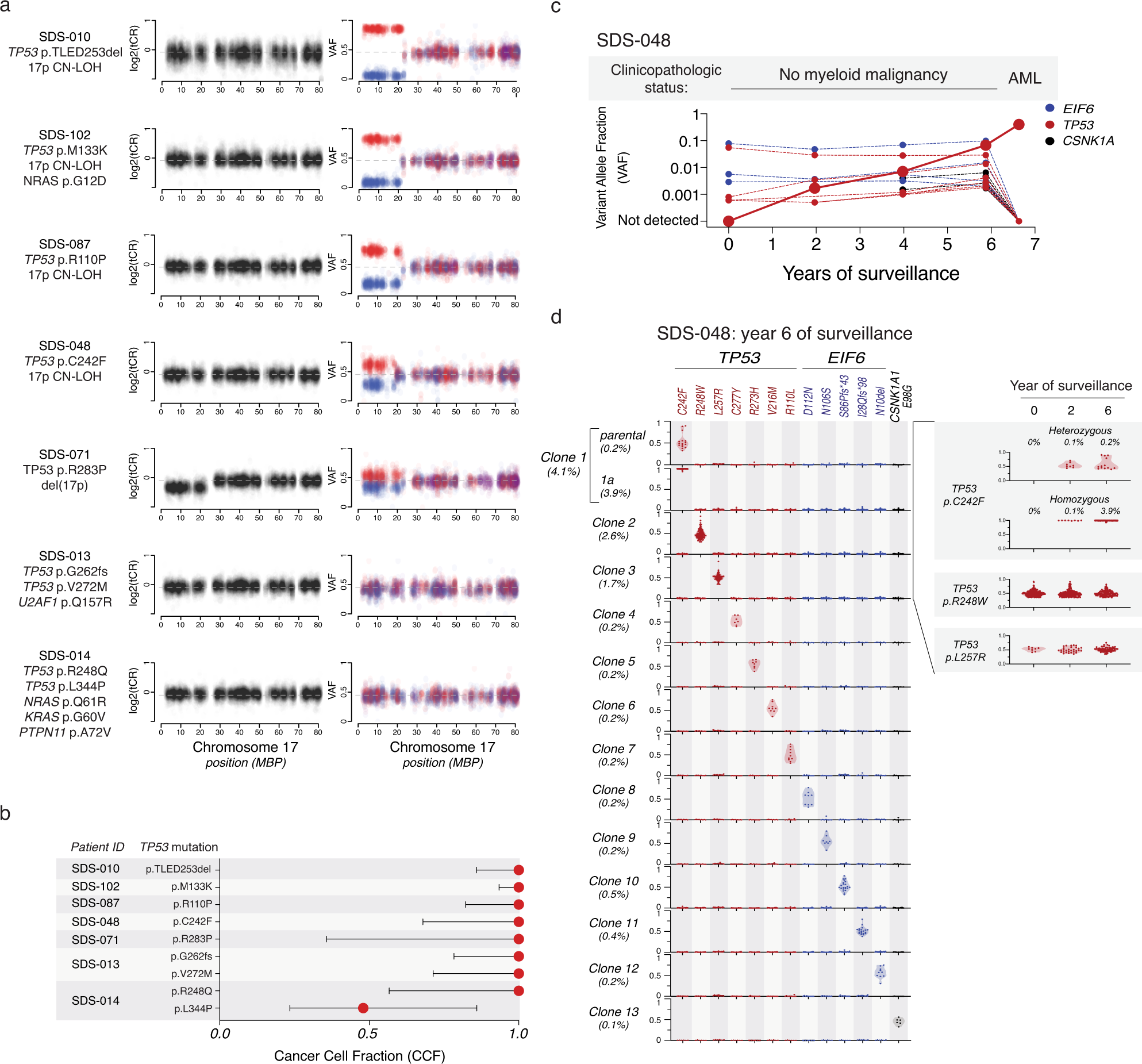 Fig. 6: Biallelic TP53 inactivation and myeloid neoplasia in patients with SDS.