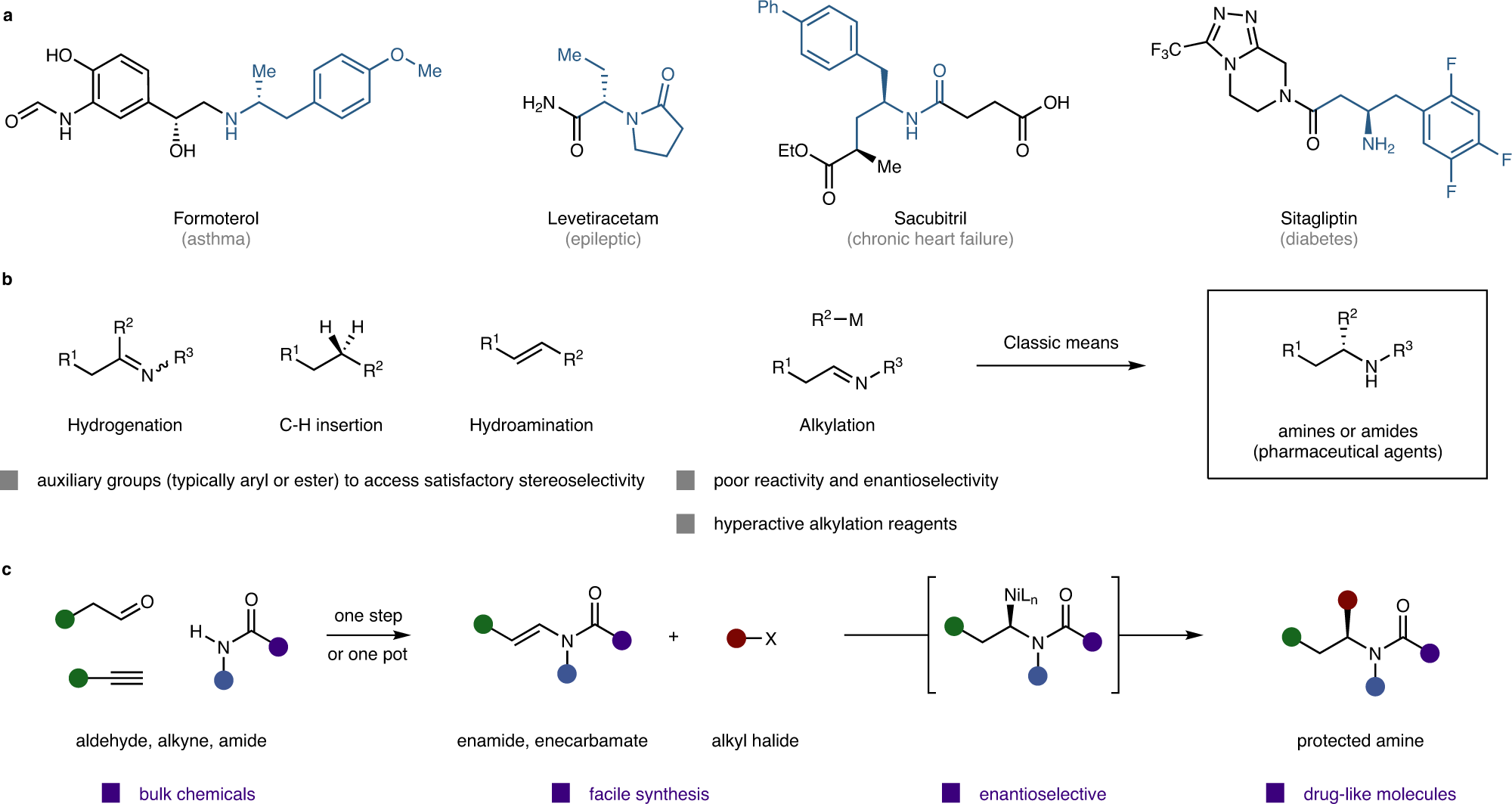 Fig. 1: Design of a modular enamide/enecarbamate reductive hydroalkylation for the synthesis of chiral aliphatic amines.