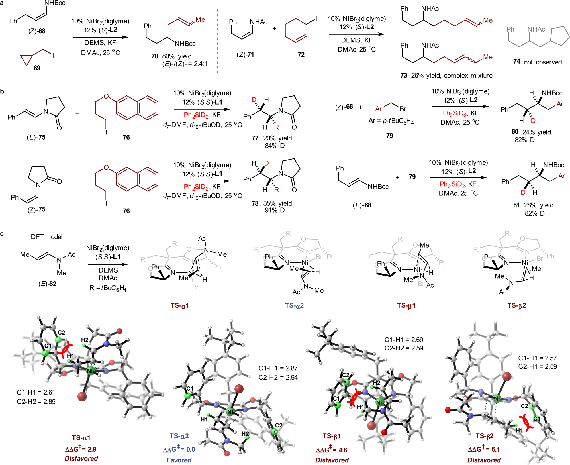 Fig. 4: Mechanistic studies of enamide reductive hydroalkylation.