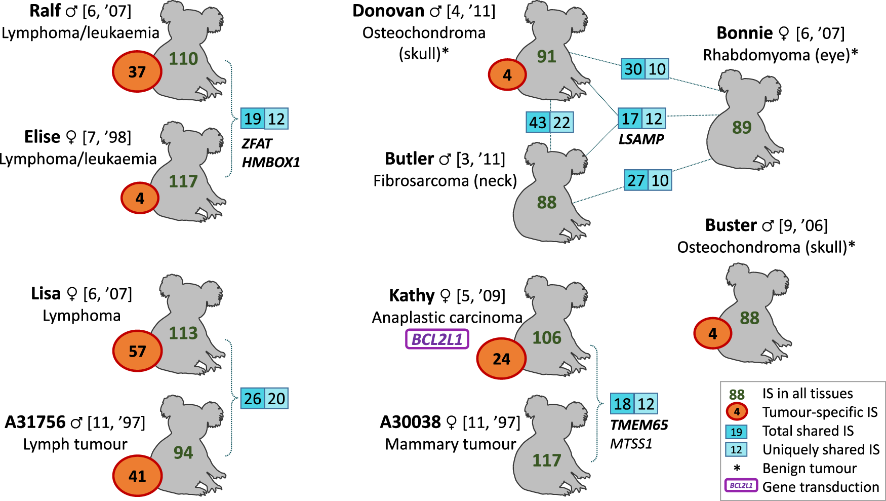 Retroviral Integrations Contribute To Elevated Host Cancer Rates During Germline Invasion Nature Communications
