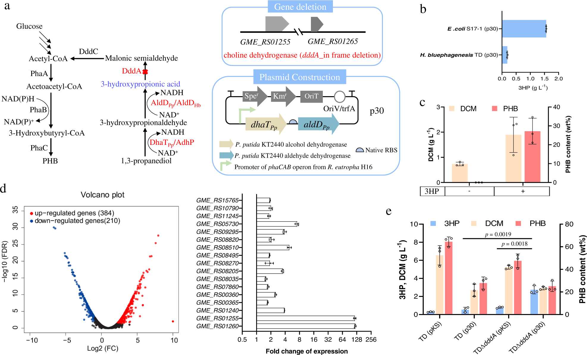 Hyperproduction Of 3 Hydroxypropionate By Halomonas Bluephagenesis Nature Communications