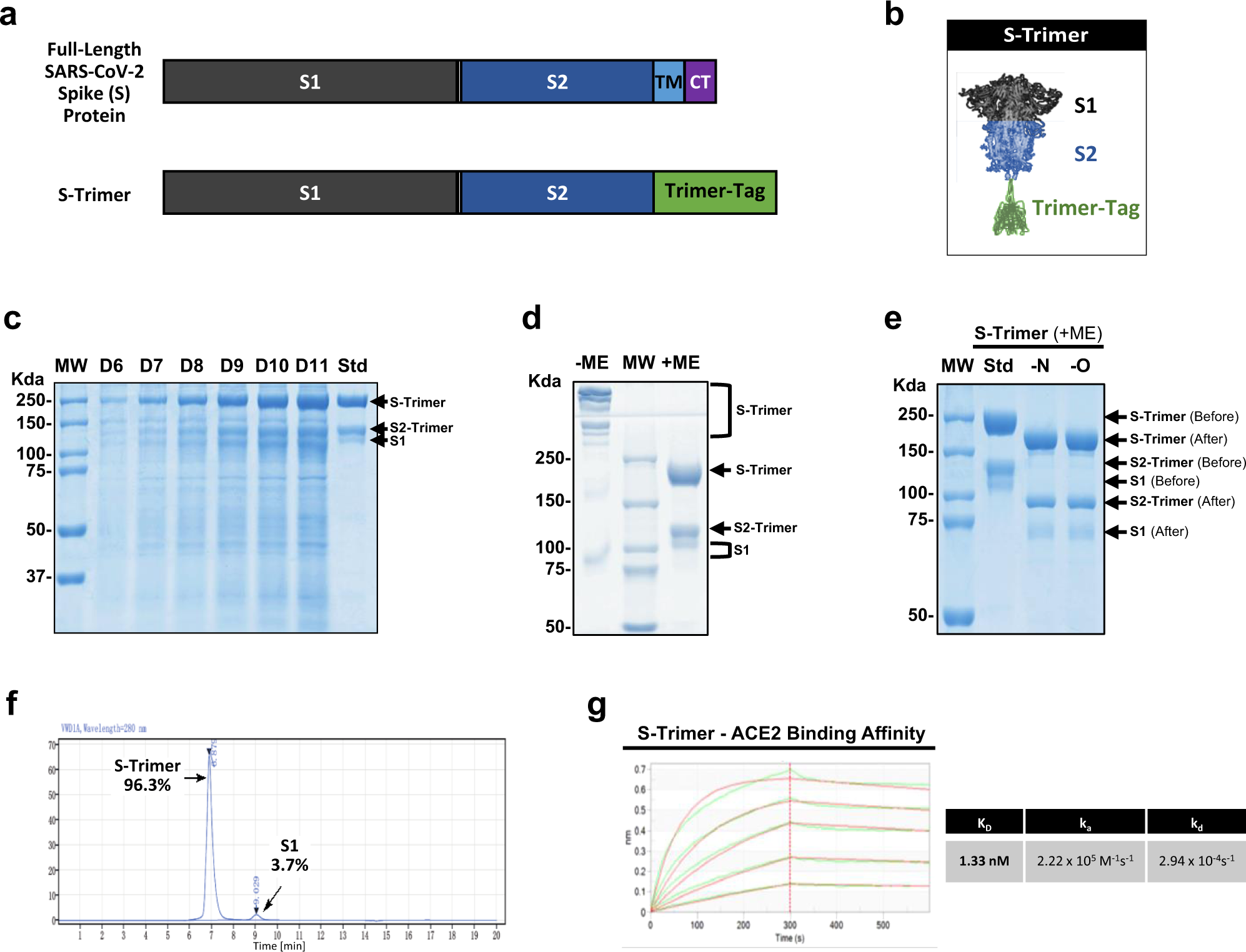 S-Trimer, a COVID-19 subunit vaccine candidate, induces protective immunity  in nonhuman primates | Nature Communications