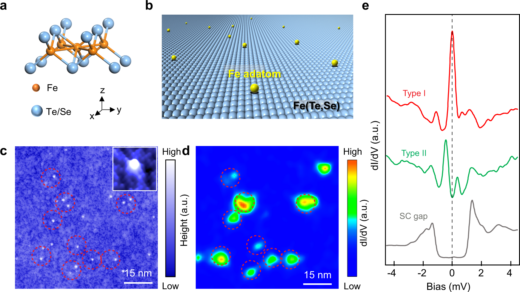 Observation Of Magnetic Adatom Induced Majorana Vortex And Its Hybridization With Field Induced Majorana Vortex In An Iron Based Superconductor Nature Communications