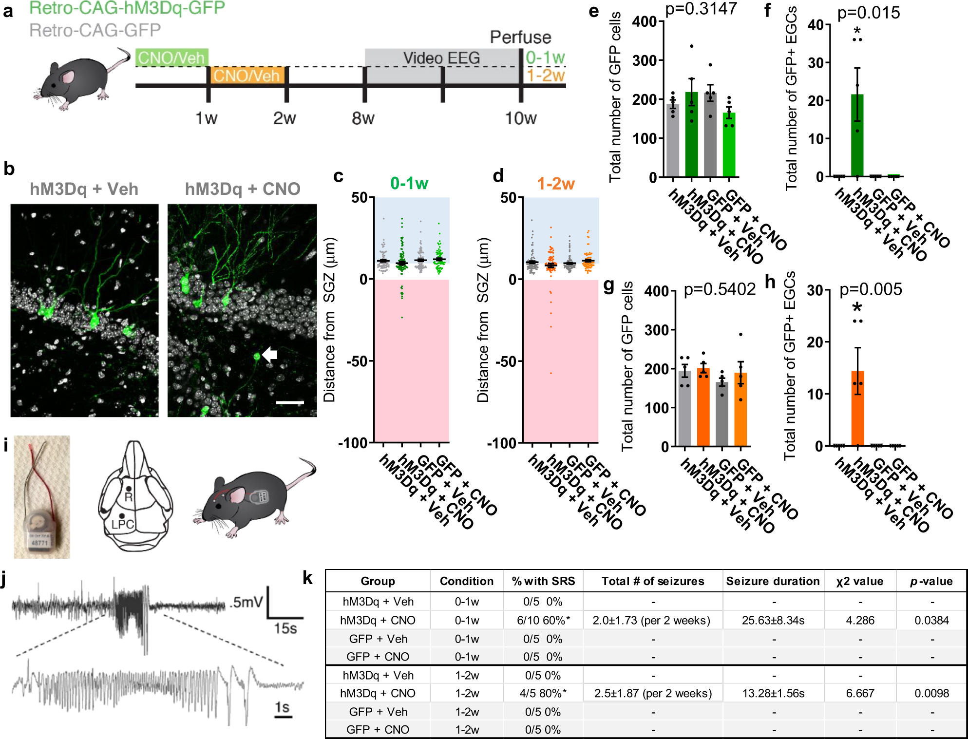 A critical period of neuronal activity results in aberrant neurogenesis  rewiring hippocampal circuitry in a mouse model of epilepsy | Nature  Communications