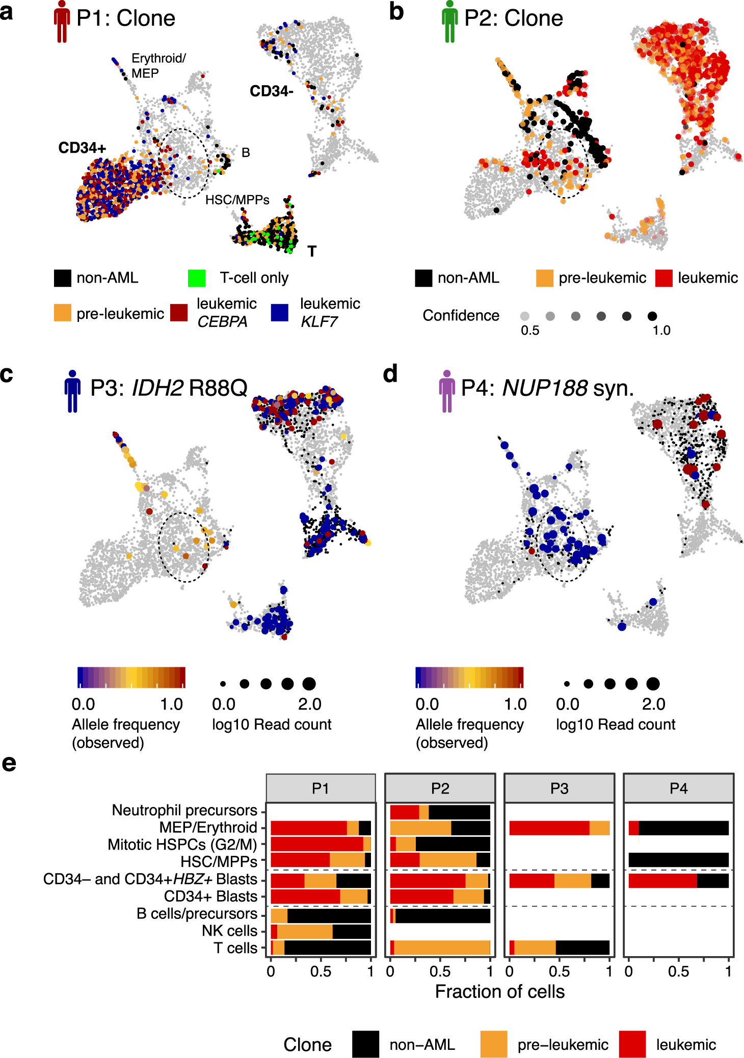 Fig. 4: Effects of (pre-)leukemic mutations on cellular differentiation.