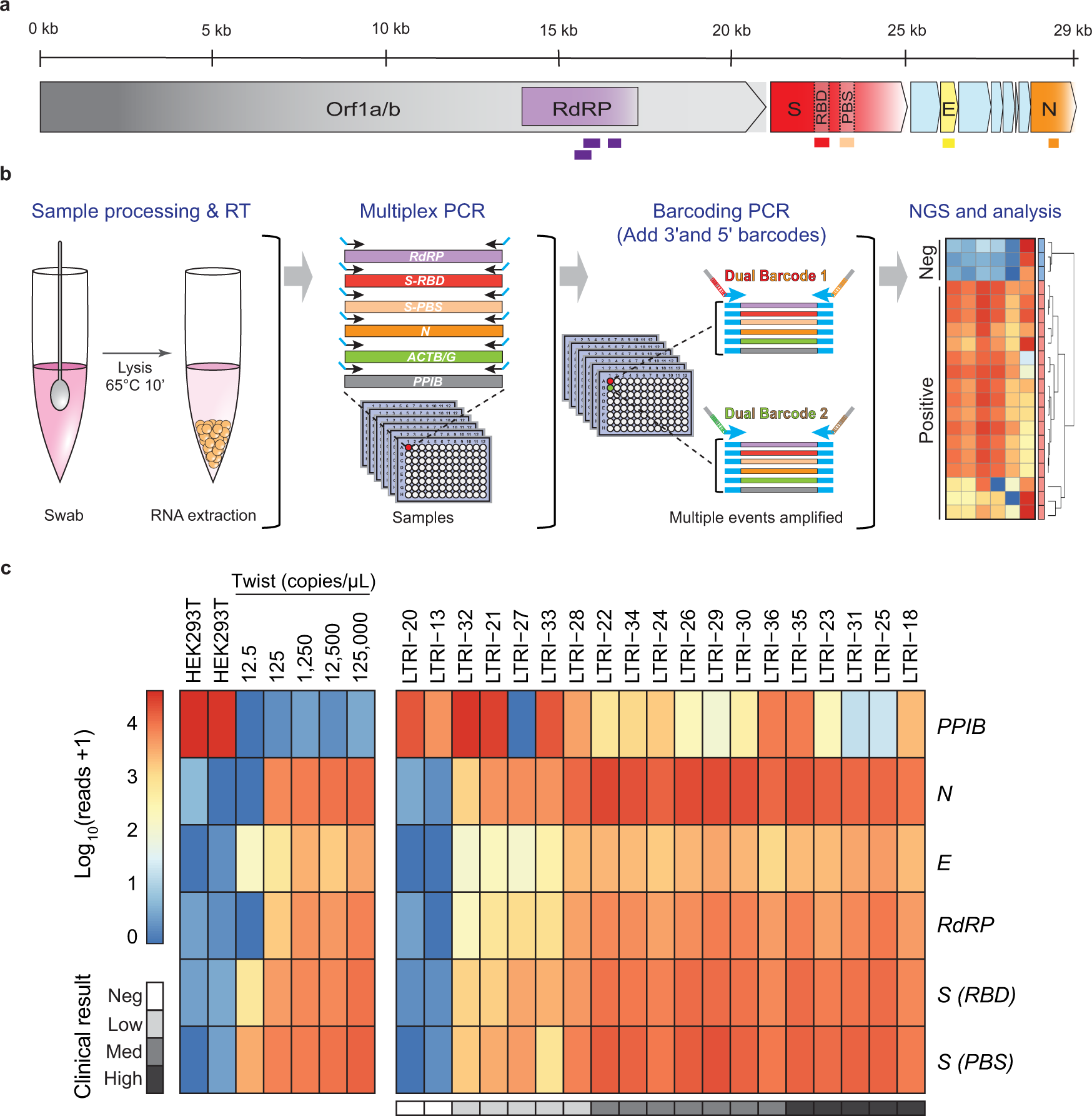 A multiplexed, next generation sequencing platform for high-throughput  detection of SARS-CoV-2 | Nature Communications
