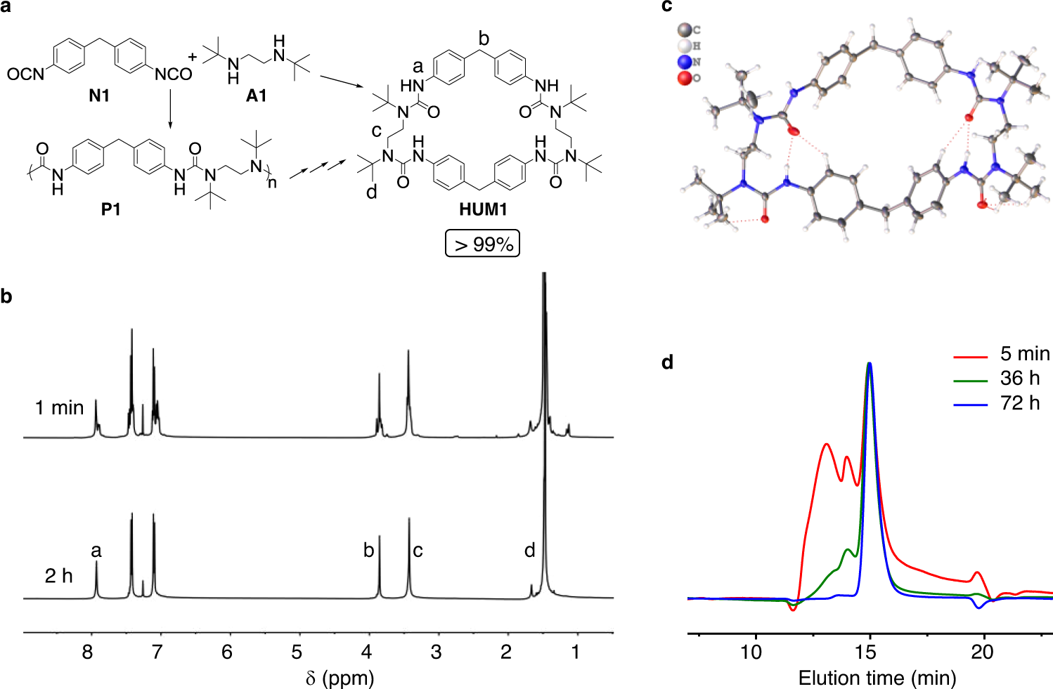 Fig. 2: Quantitative synthesis of the hindered urea macrocycle HUM1.