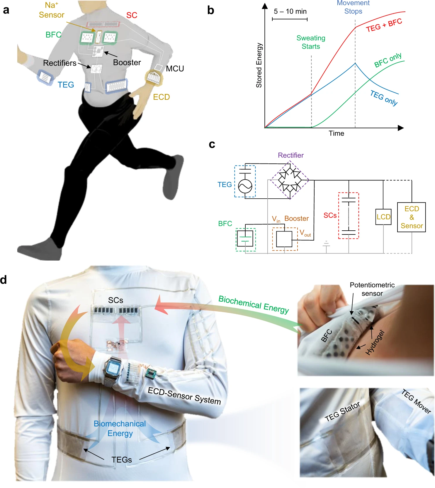 a System diagram of the energy microgrid system, consisting of the TEG, BFC, SC modules and wearable applications. b Graphic illustration of the synergistic effect of integrating the complementary BFC and TEG energy harvesters. c System diagram of the integrated E-textile microgrid powering an LCD or an ECD-sensor system. d Photo images illustrating the arrangement of the individual modules of the wearable microgrid system on a shirt worn on-body, including the TEG modules on the side of the torso, the SC modules on the chest, the BFC modules and potentiometric sensor inside the shirt for direct sweat contact, and wearable electronics that are powered by the microgrid. All components were connected by printed stretchable silver traces insulated with SEBS.