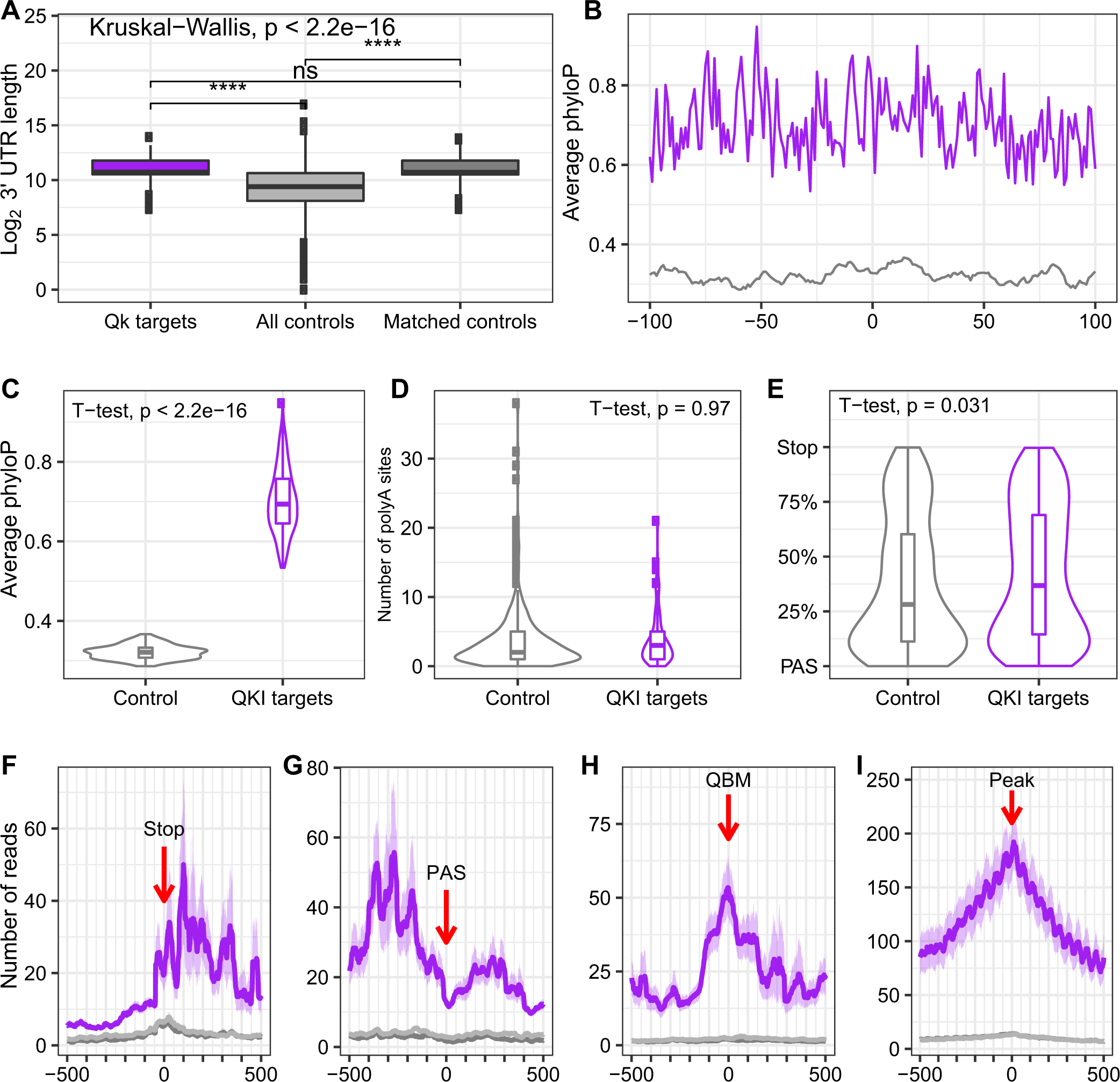 Fig. 2: QKI-6 binds conserved UTR regions in a cooperative manner.