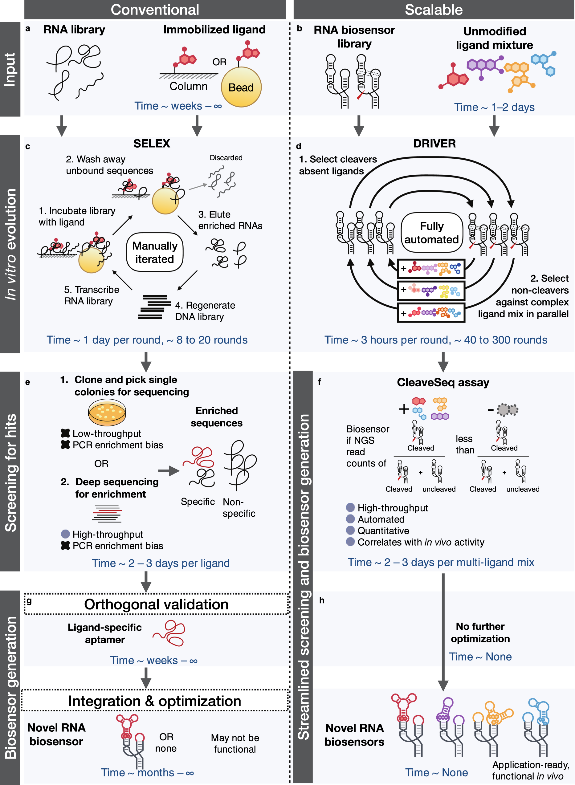 A Multiplexed Automated Evolution Pipeline Enables Scalable Discovery And Characterization Of Biosensors Nature Communications