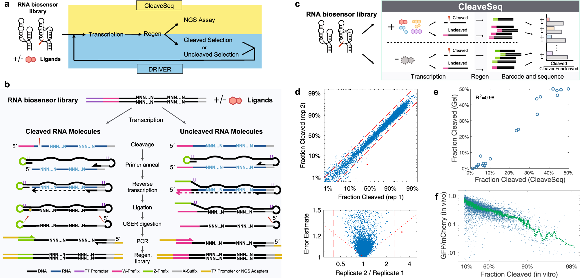Fig. 2: Regeneration of ribozymes after cleavage enables selection and an NGS-based assay that are correlated with in vivo activity.