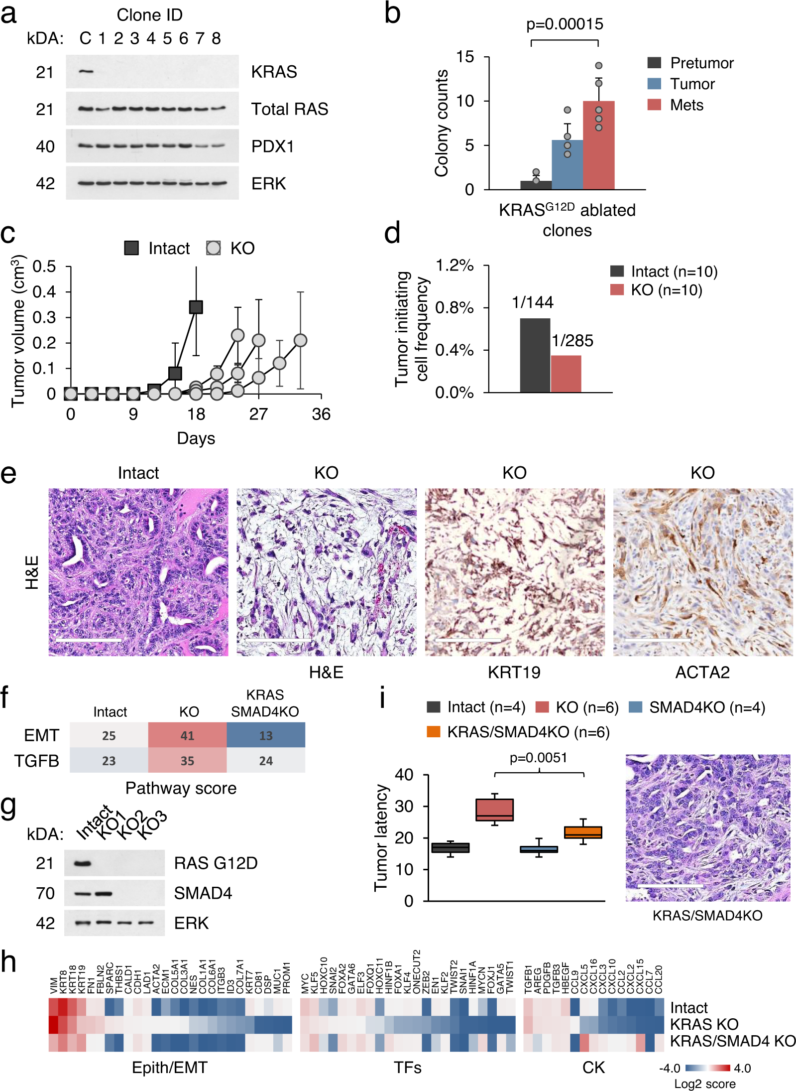 Kras Drives Immune Evasion In A Genetic Model Of Pancreatic Cancer Nature Communications