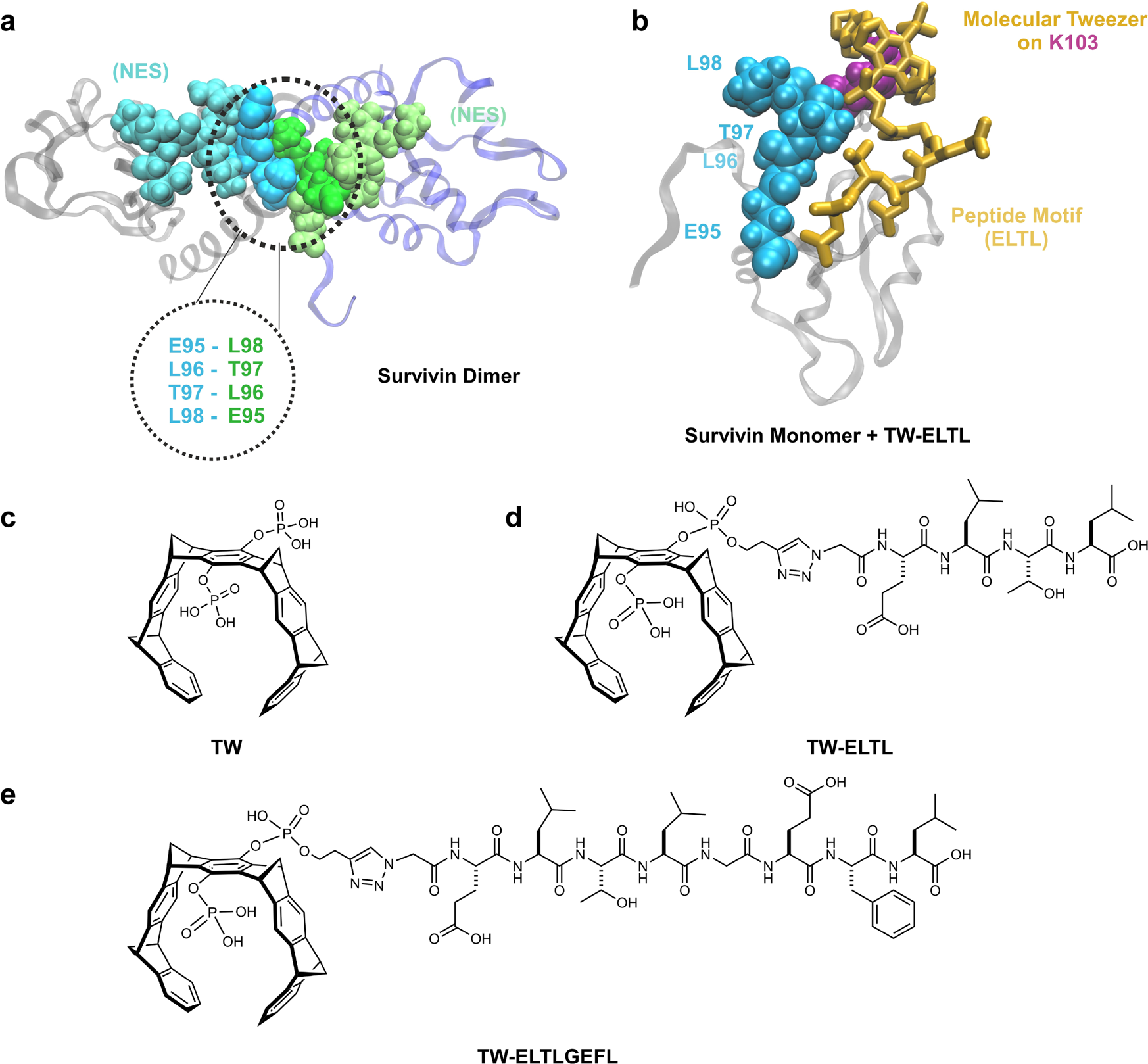 Molecular Tweezers: Supramolecular Hosts with Broad-Spectrum