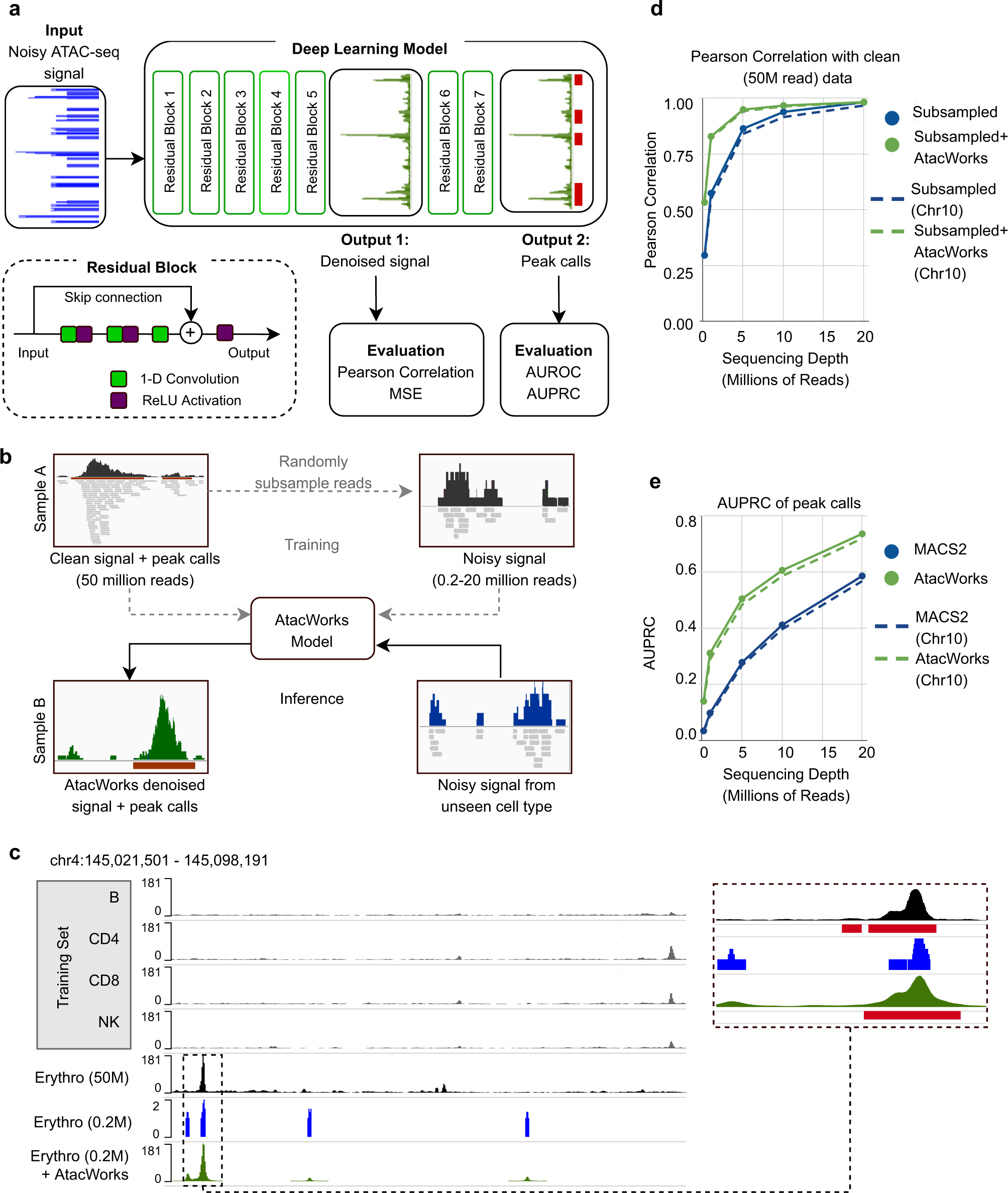 Fig. 1: A deep learning approach to denoise ATAC-seq data.