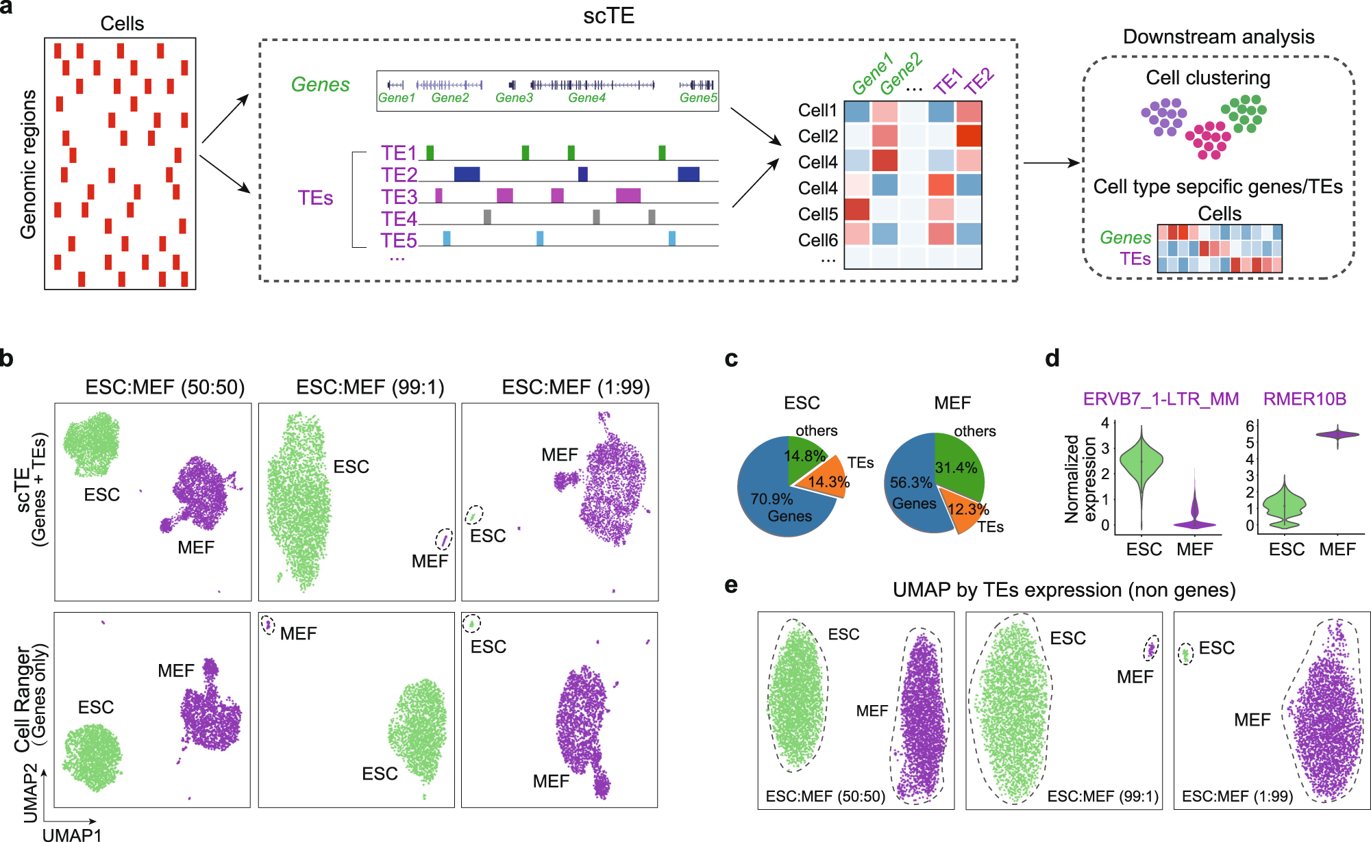 Frontiers  Single-cell detection of primary transcripts, their