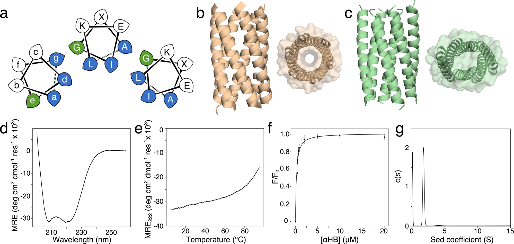 Structural resolution of switchable states of a de novo peptide assembly |  Nature Communications
