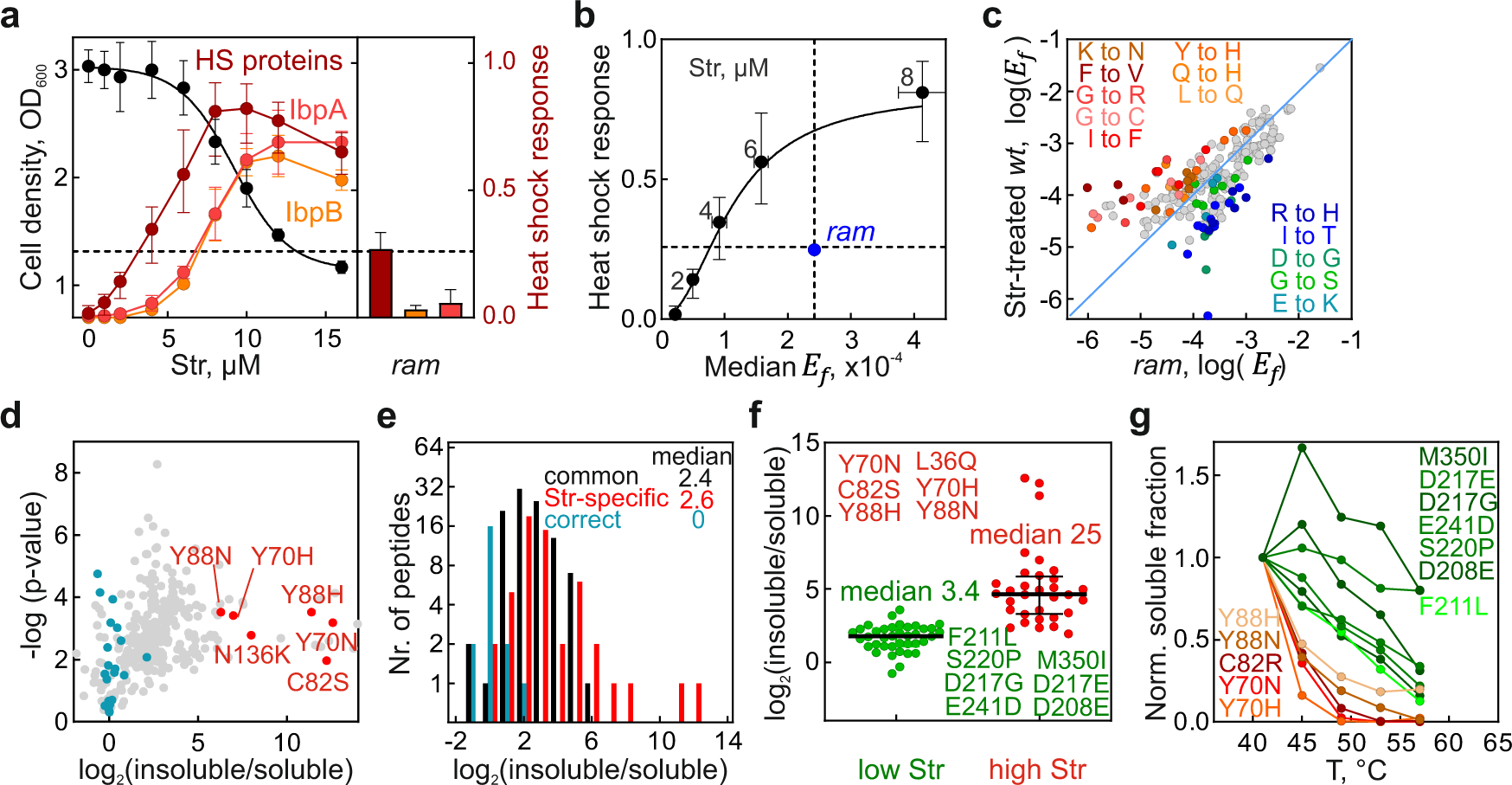 Translation Error Clusters Induced By Aminoglycoside Antibiotics Nature Communications
