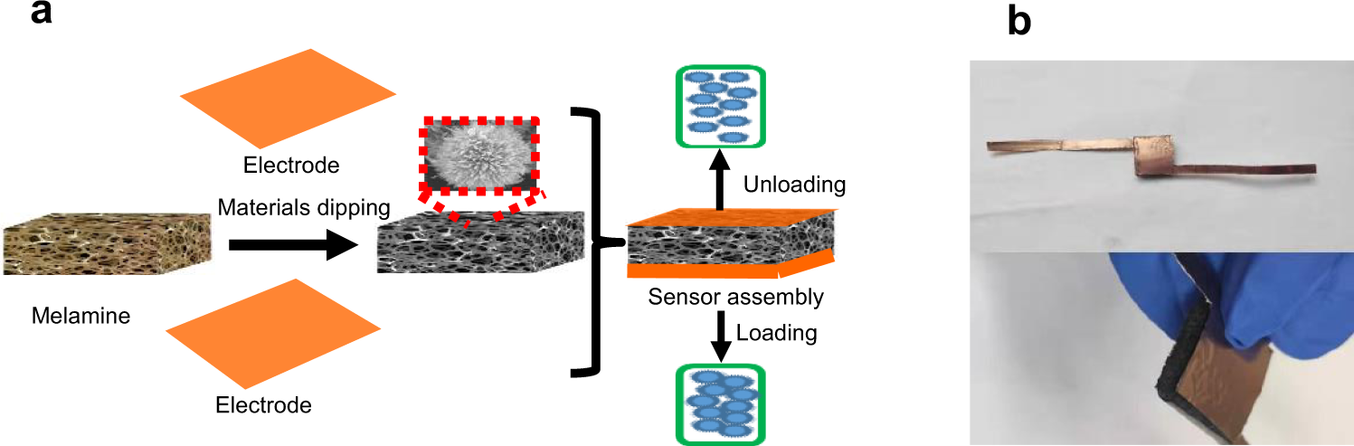 Fig. 1: Preparation diagram and sensor images.