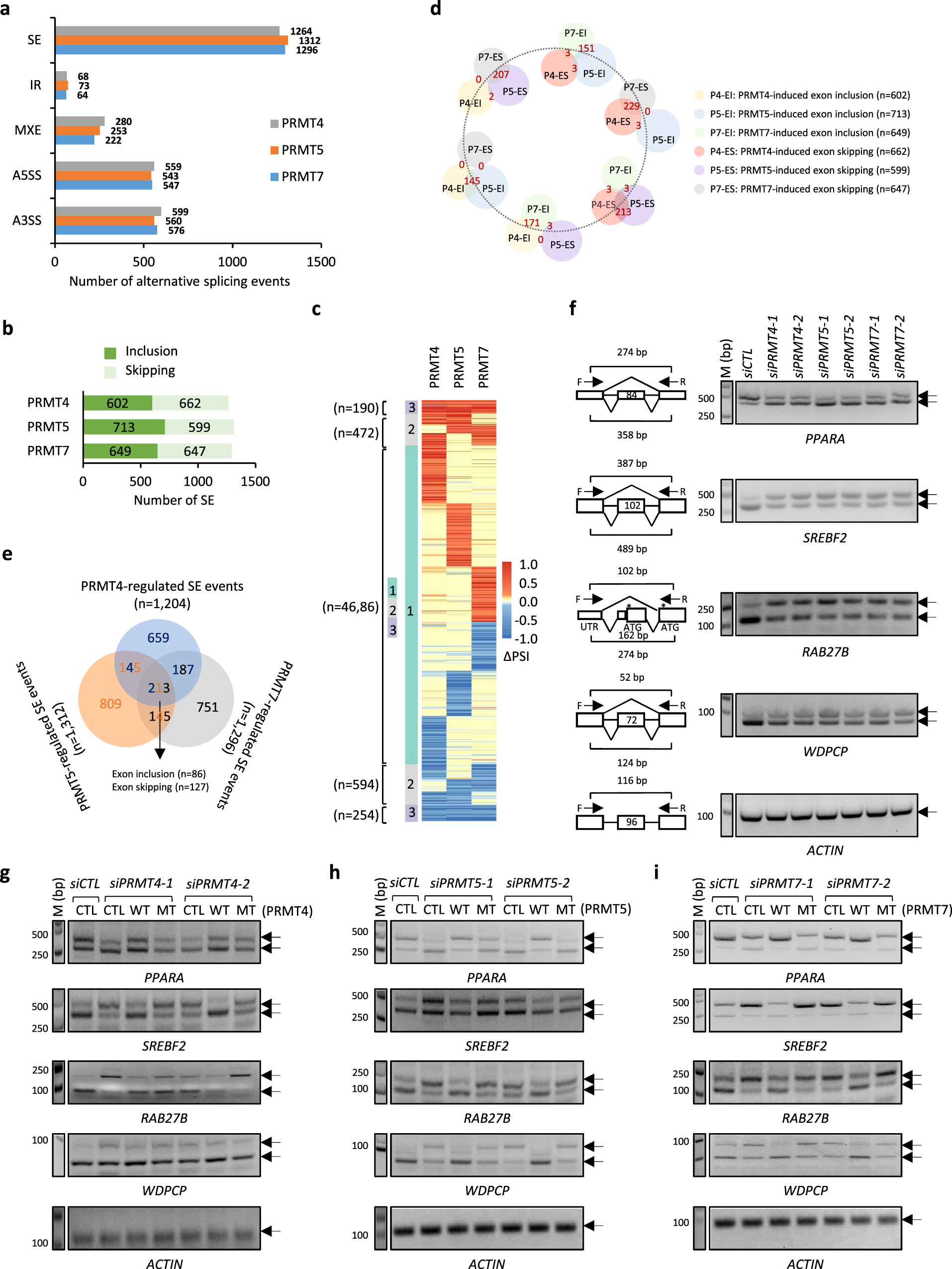 Fig. 4: RNA-seq profiling revealed that PRMT4, 5, and 7 exhibited a global impact on RNA alternative splicing.
