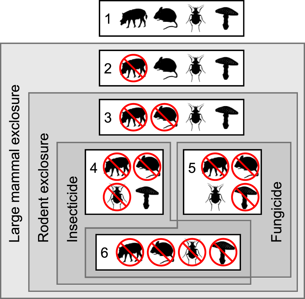 Fungi And Insects Compensate For Lost Vertebrate Seed Predation In An Experimentally Defaunated Tropical Forest Nature Communications