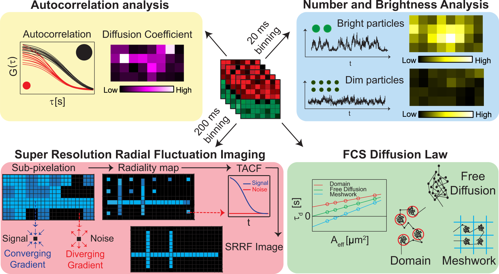 Simultaneous spatiotemporal super-resolution and multi-parametric fluorescence  microscopy | Nature Communications