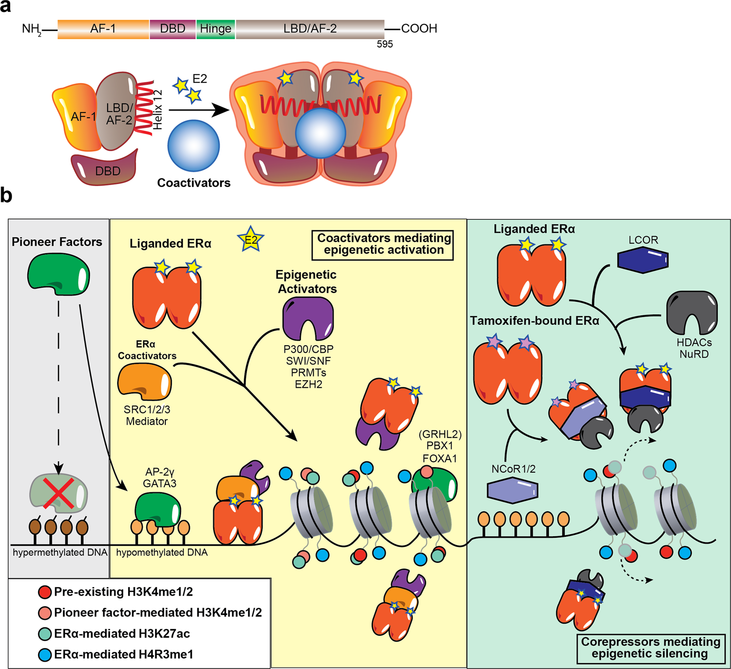 Epigenetic Mechanisms In Breast Cancer Therapy And Resistance Nature Communications