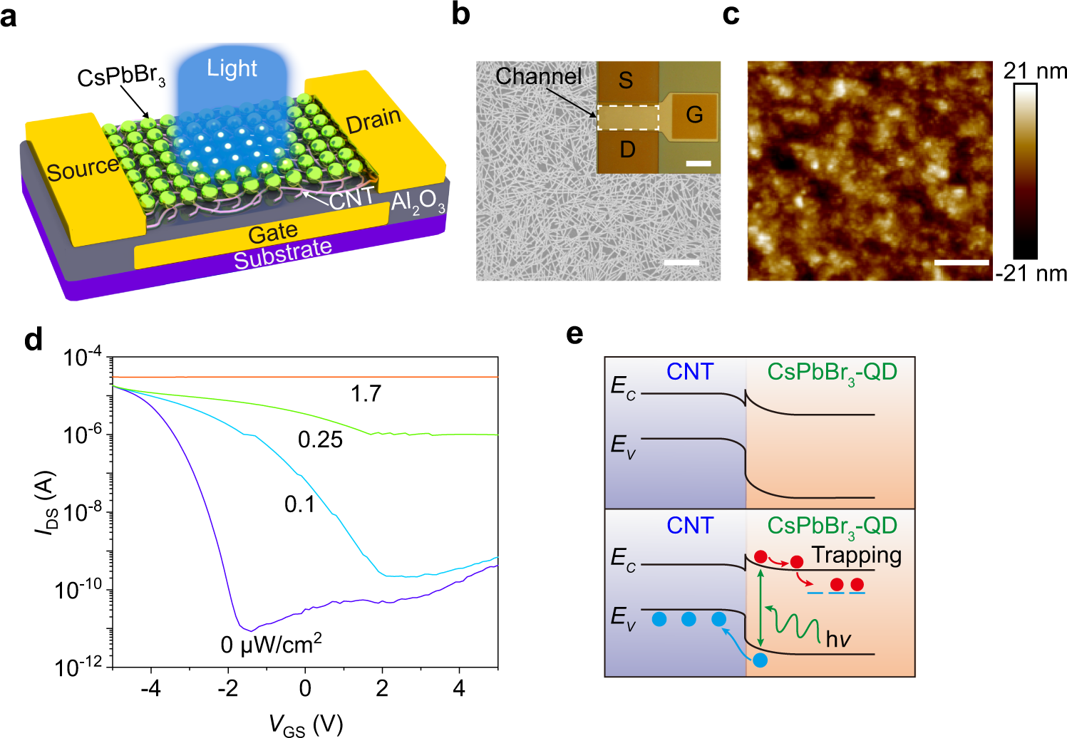 Fig. 1: Device design and characterization.