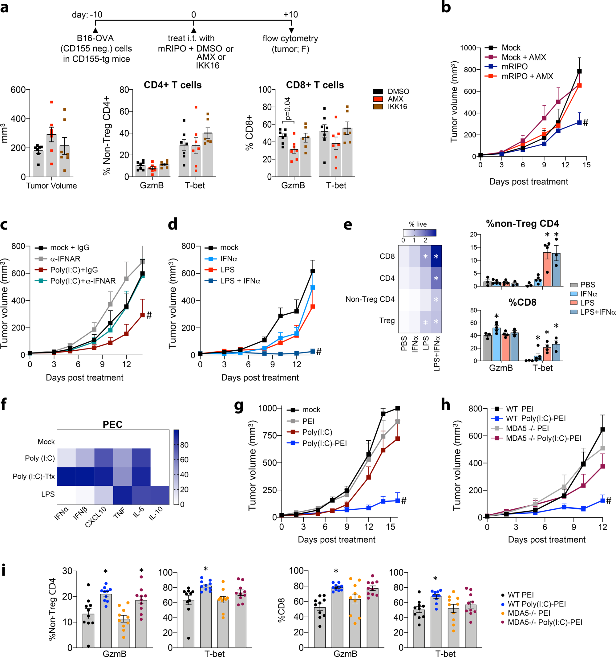 Fig. 9: MDA5-TBK1-IRF3 signaling within the TME mediates antitumor efficacy.