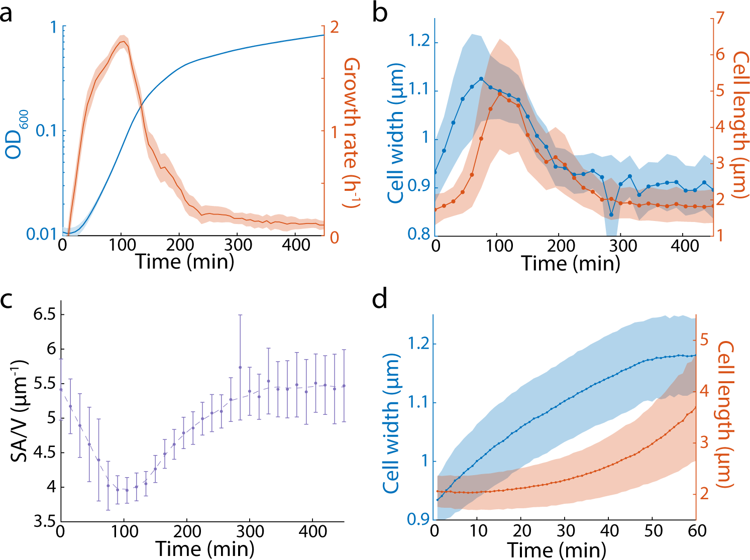 Precise regulation of the relative rates of surface area and 