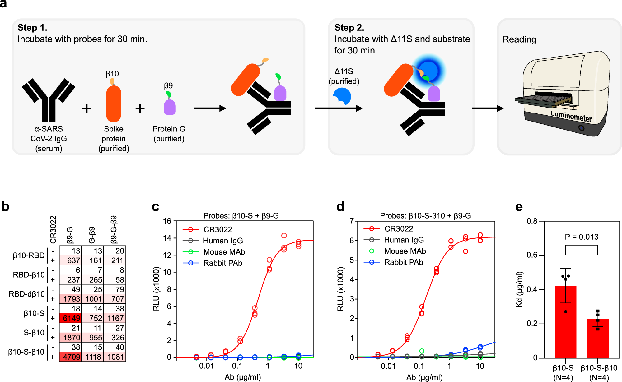 A homogeneous split-luciferase assay for rapid and sensitive detection of  anti-SARS CoV-2 antibodies | Nature Communications